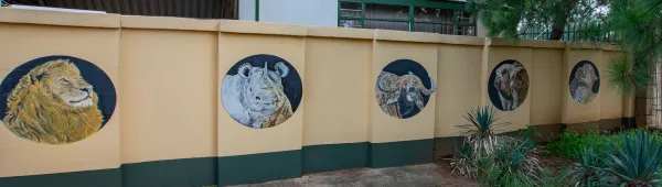 Big Five mural painted on boundary wall
